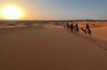 Overnight camel trek Merzouga 