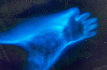 Sunset Bioluminescent Comb Jelly & Dolphin Tour