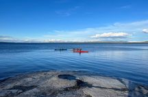 Morning Guided Kayak Tour