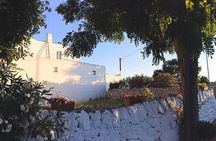 Mozzarella Experience - Cheese Tour and tastings to Masseria Fragnite