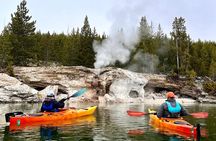 Yellowstone Lake & Hot Springs / 3 Hour Morning or Twilight Tour 