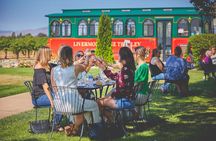 4 Hour Livermore Valley Wine Tour