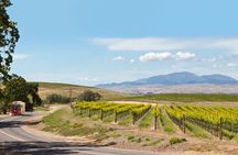 4 Hour Livermore Valley Wine Tour