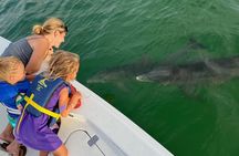 Private boat offering dolphin watching, island excursions and nature tours