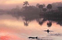 Private boat offering dolphin watching, island excursions and nature tours