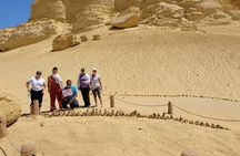 Fayoum Adventure: Whales Valley,4x4 Desert Safari & Wadi Rayan 
