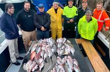 Half-Day Deep Sea Fishing in Wollongong - Weekdays only