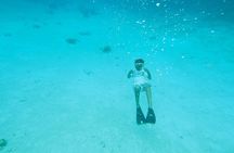  StingrayCity ,Coral Garden & Starfish Tour. 