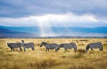 A thrilling Kenya 4 Days Adventure: Masai Mara &Lake Nakuru