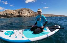 Stand Up Paddle and Snorkeling Tour of Gran Canaria with Transfers south area 