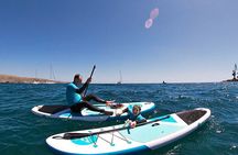 Stand Up Paddle and Snorkeling Tour of Gran Canaria with Transfers south area 