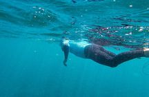 Stand Up Paddle and Snorkeling Tour of Gran Canaria with Transfers south area 
