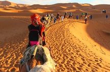 Desert trip from Marrakech to Fes with pickup.