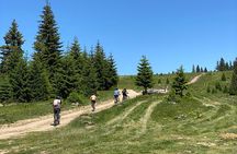 Mountain Biking Tour