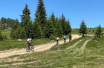 Mountain Biking Tour