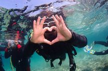 Half-Day Scuba Diving Tour - Discover Scuba Diving!