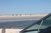 Private Guided Boat Tour up to 6 passengers in Fernandina Beach