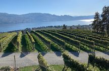 West Kelowna Full Day Wine Tour