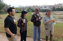  Philosophy Experiential Workshop at Aristotle's Lyceum, Athens