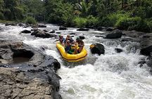 Rafting at Jangkok River Lombok