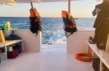 Diving with Boat trip to Ras Mohammed &white island Snorkeling, Sharm El Sheikh 