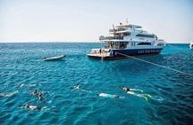 Diving with Boat trip to Ras Mohammed &white island Snorkeling, Sharm El Sheikh 