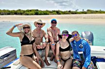 All-Inclusive: Mako 29ft Boat Tour to Icacos Palomino & Palominito