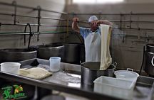 Mozzarella Experience - Cheese Tour and tastings to Masseria Fragnite