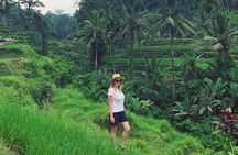 Ubud Tour - Ubud Highlight - Private Tour All inclusive