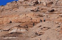 Overday Safari at White Desert and Black Desert