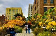 Explore the High Line: Small Group Walking Tour