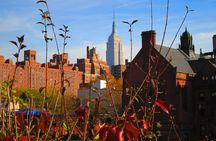 Explore the High Line: Small Group Walking Tour