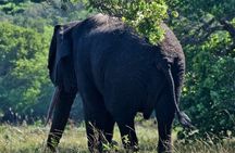 Maputo National Park (Maputo Special Reserve) Full-day Tour