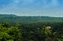 Private Full Day Pugu Hills Bird watching & Hiking