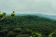 Private Full Day Pugu Hills Bird watching & Hiking