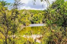 Private Full Day Pugu Hills Bird watching & Hiking