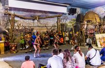 Lesedi Cultural Village Experience