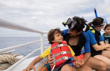Maui: Turtle Reef Snorkel Cruise with Hawaiian Green Sea Turtles