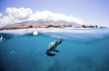 Maui: Turtle Reef Snorkel Cruise with Hawaiian Green Sea Turtles