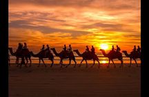 Camel ride + sunset + BBQ dinner in Agadir