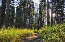 Private Full-Day Grand Canyon of Yellowstone Hiking Adventure 