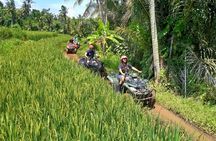 Ubud Quad Bike ATV Adventure in Bali
