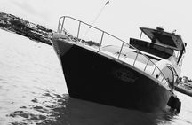 Transfer from Isabela Island to Santa Cruz Island