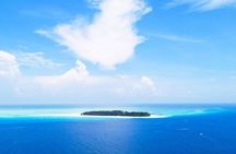 Mnemba Island with Lunch; Salaam Cave; Kuza Cave Tour; The Rock