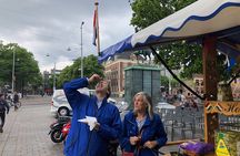 Vermeer’s Delft, The Mauritshuis and Rembrandt’s Leiden city