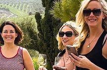“ARISMARI” – Vineyard Tour & Wine Tasting