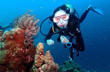 Open Water Course - Become certified diver in 3 days 
