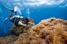 Open Water Course - Become certified diver in 3 days 