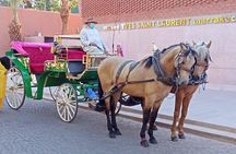 Majorelle-Menara garden & the Yves Saint Laurent museum Horse carriage tours