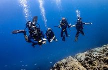 Advanced Adventurer - 2 days ( Advanced Open Water)